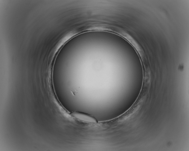 X0000096960909200802151233