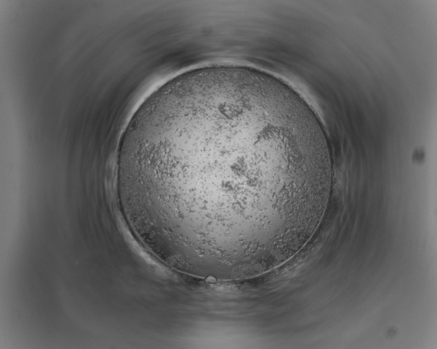 X0000096960911200802151233