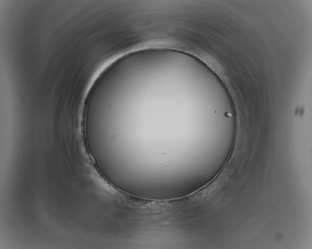 X0000096960912200802151233