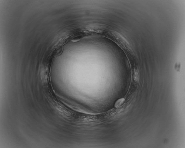 X0000096960915200802151232