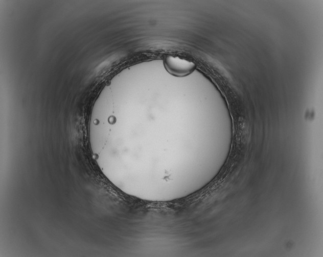 X0000096960918200802151232