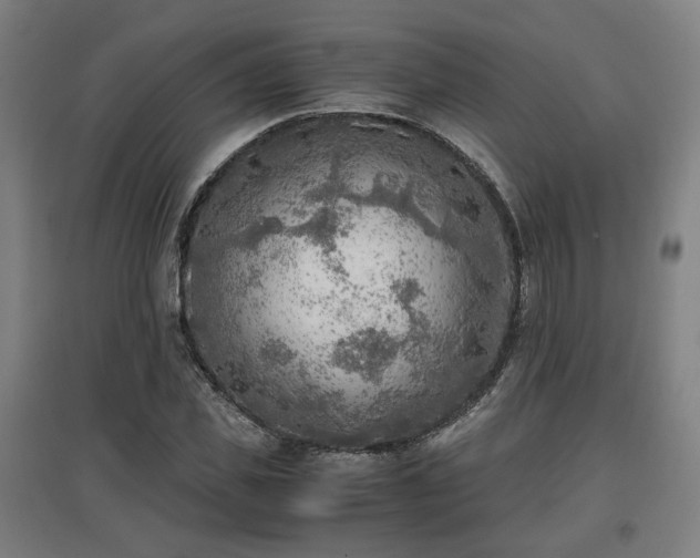 X0000096960925200802151232