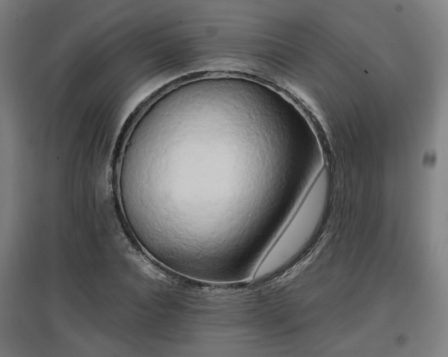 X0000096960928200802151232