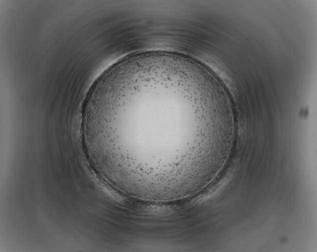 X0000096960933200802151232