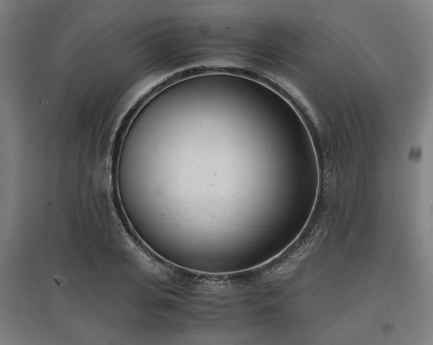 X0000096960935200802151232