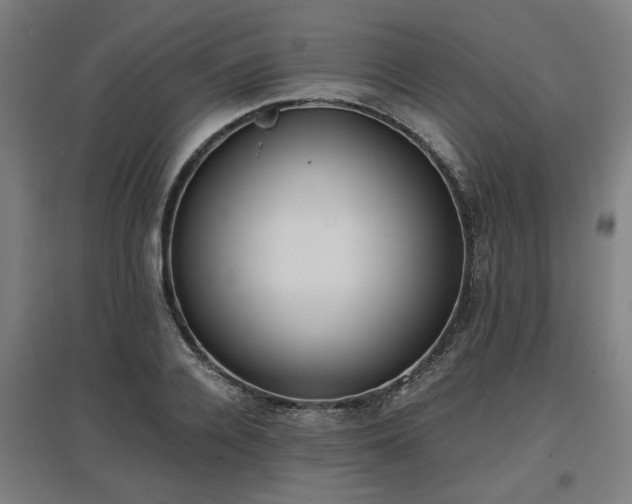 X0000096960936200802151232