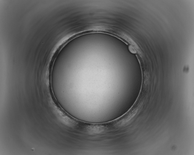 X0000096960939200802151232