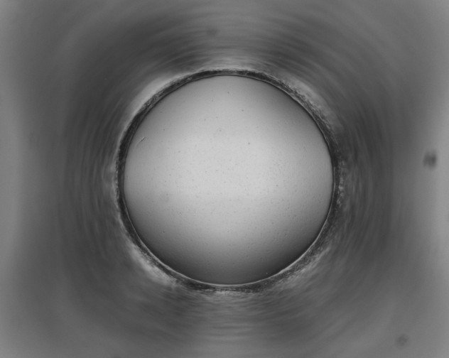 X0000096960942200802151232