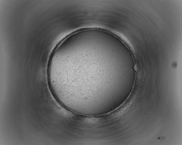 X0000096960943200802151232