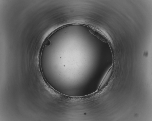 X0000096960944200802151232