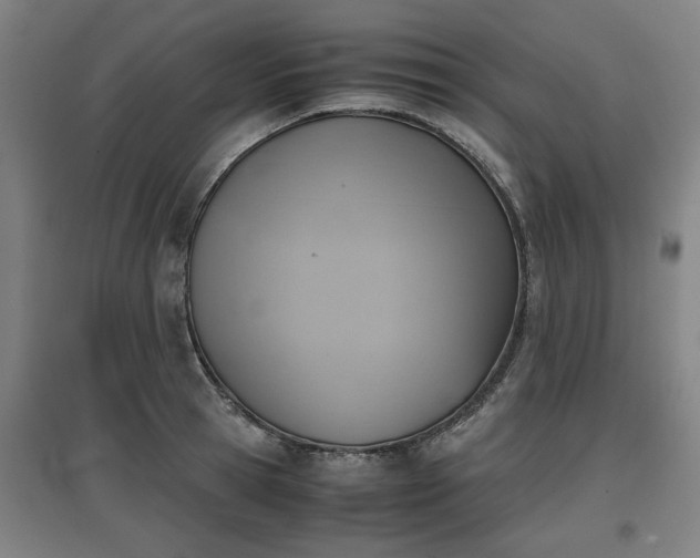 X0000096960945200802151232