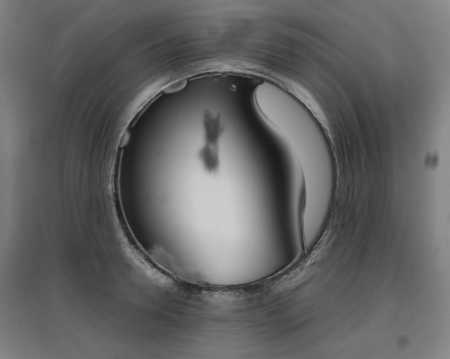 X0000096960946200802151232