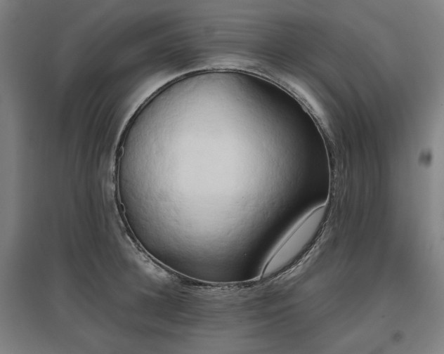 X0000096960948200802151233