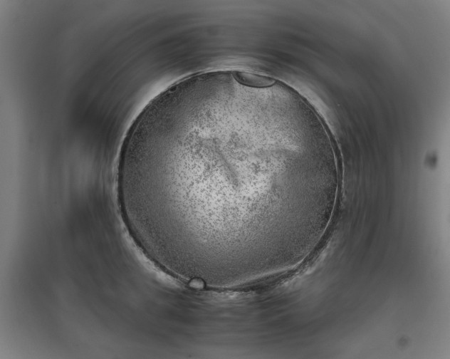 X0000096960949200802151233