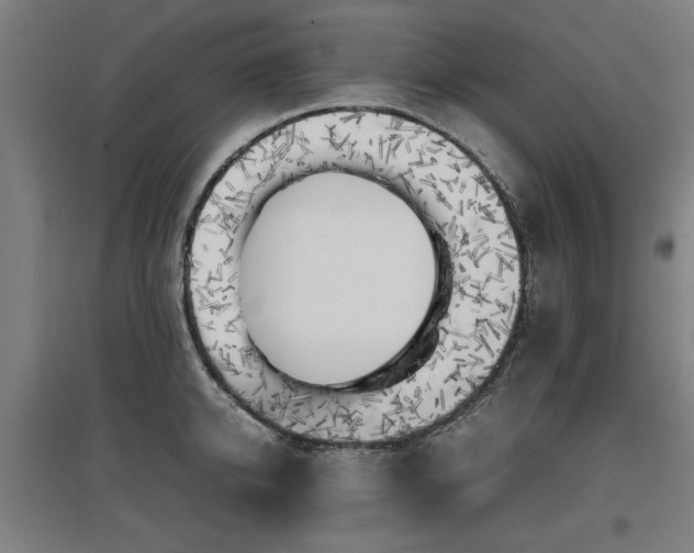 X0000096960950200802151233