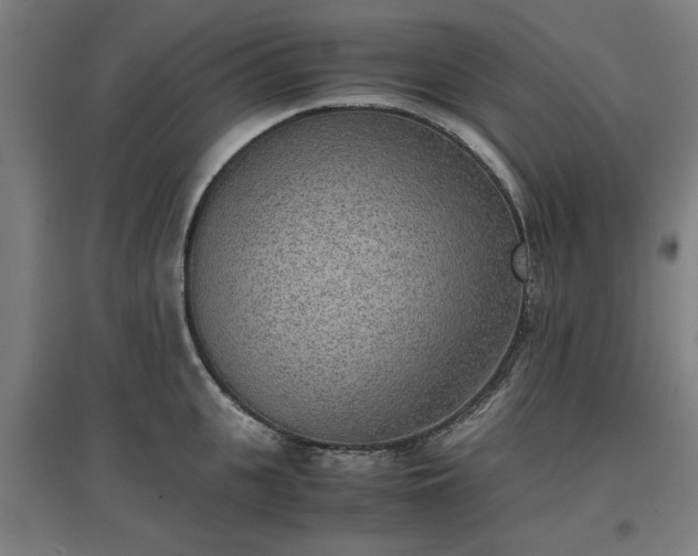 X0000096960951200802151233