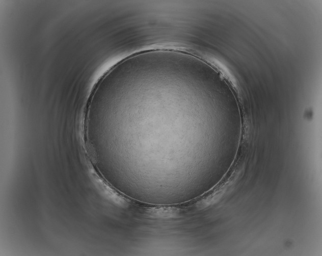 X0000096960952200802151233