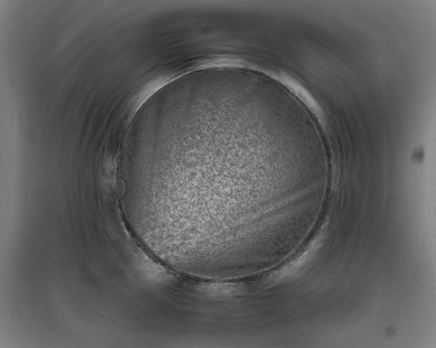 X0000096960953200802151233