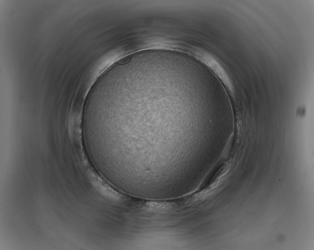 X0000096960954200802151233