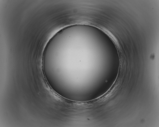 X0000096960956200802151233