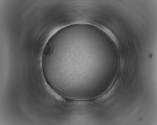 X0000096960958200802151233