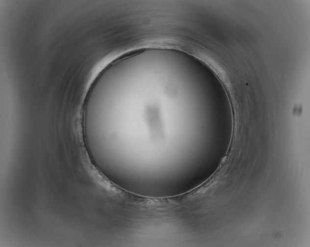 X0000096960960200802151233