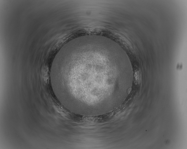 X0000096960963200802151232