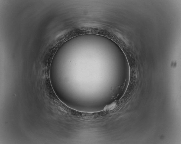 X0000096960965200802151232