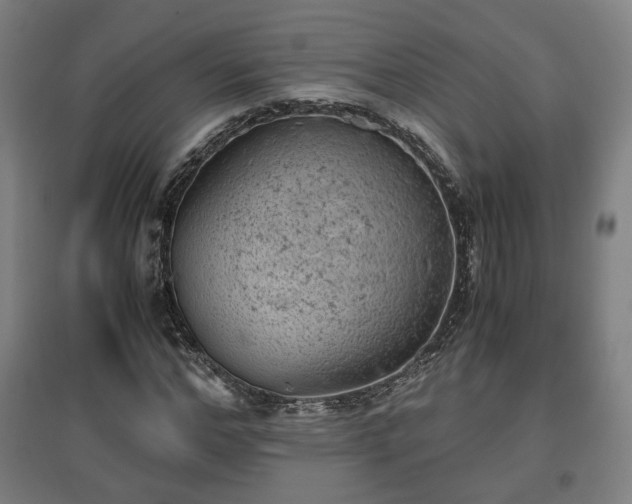 X0000096960968200802151232