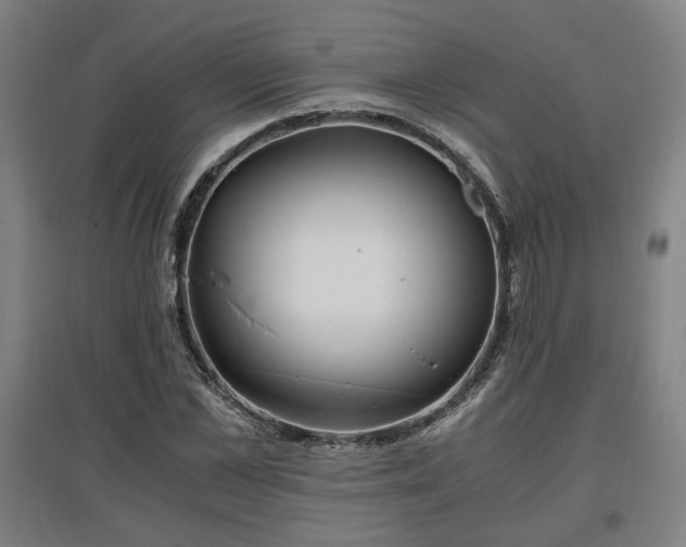 X0000096960973200802151232