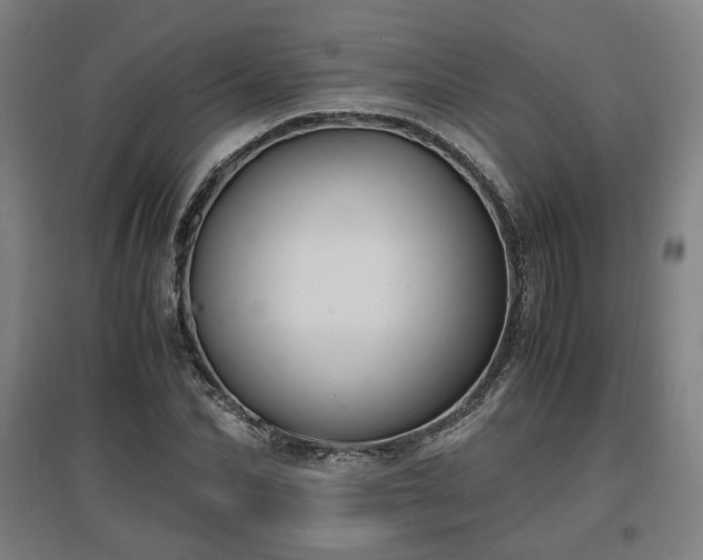 X0000096960974200802151232