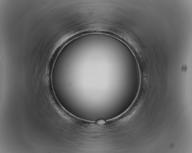 X0000096960981200802151232