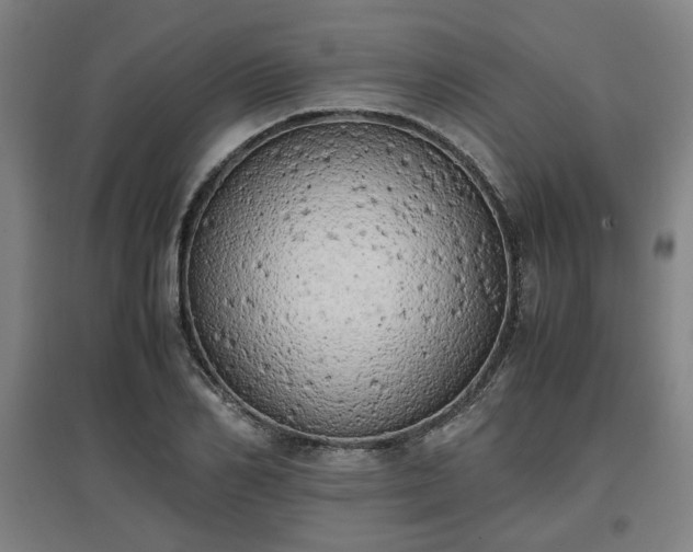 X0000096960982200802151232