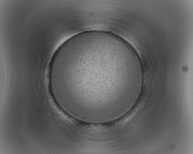 X0000096960983200802151232