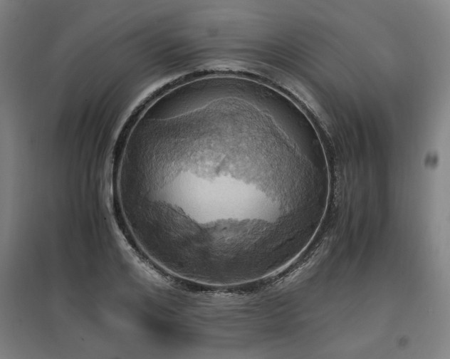 X0000096960984200802151232