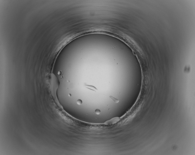 X0000096960985200802151232