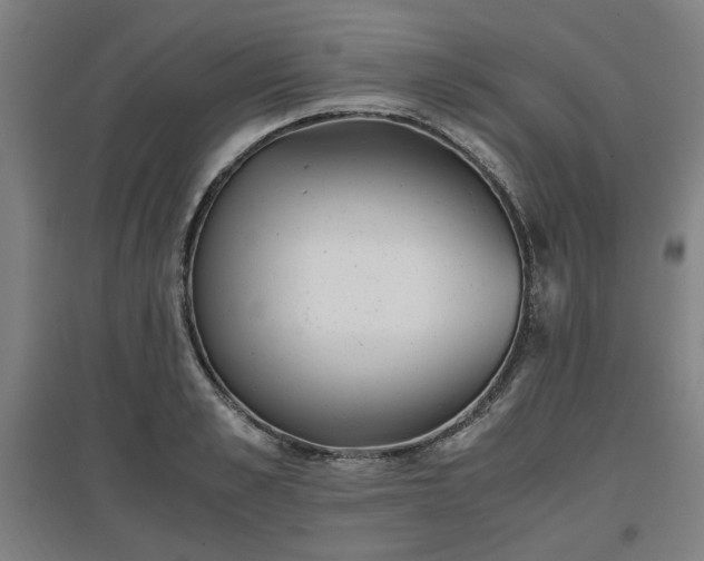 X0000096960989200802151232