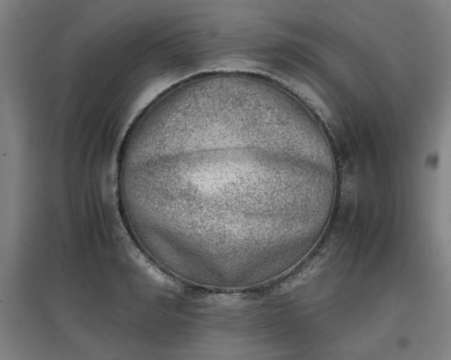 X0000096960990200802151232