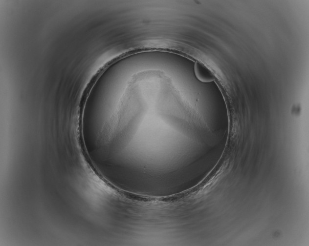 X0000096960992200802151231