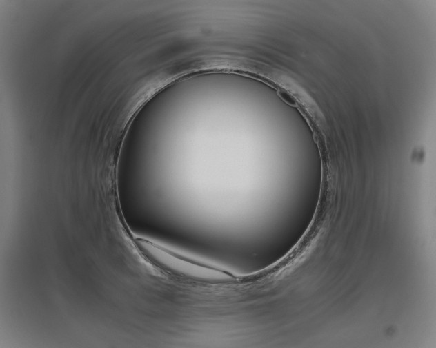 X0000096960993200802151231