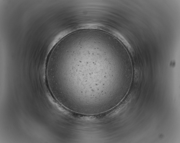 X0000096960994200802151231