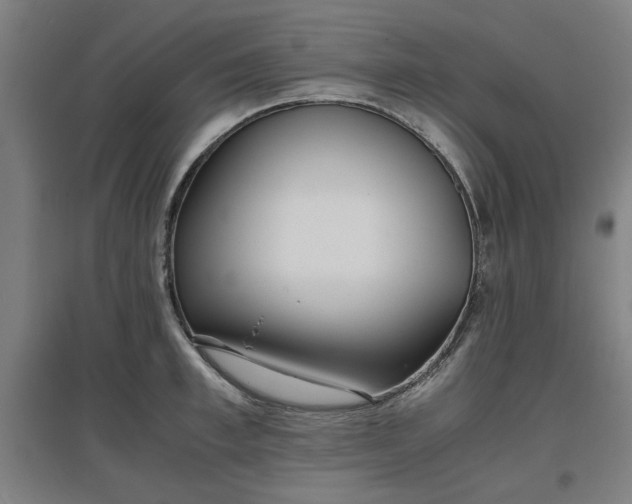 X0000096960997200802151231