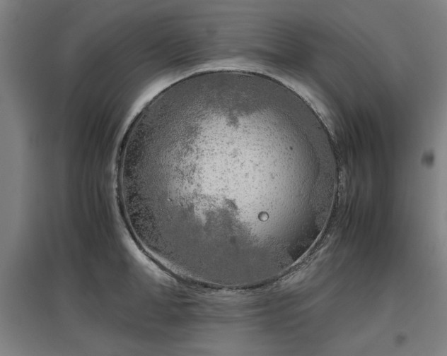 X0000096960998200802151231