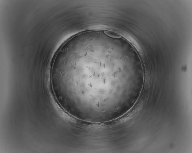 X0000096961000200802151231