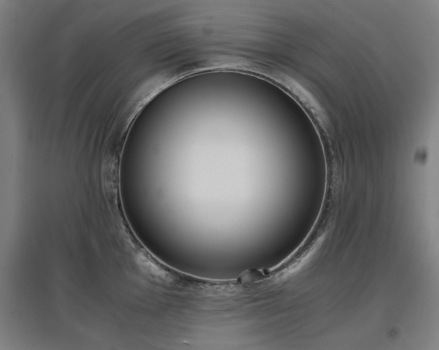 X0000096961001200802151231