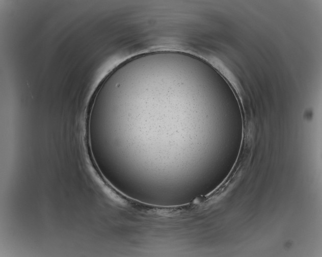 X0000096961005200802151231