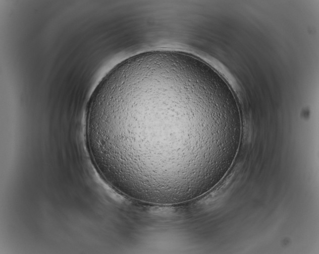 X0000096961006200802151231