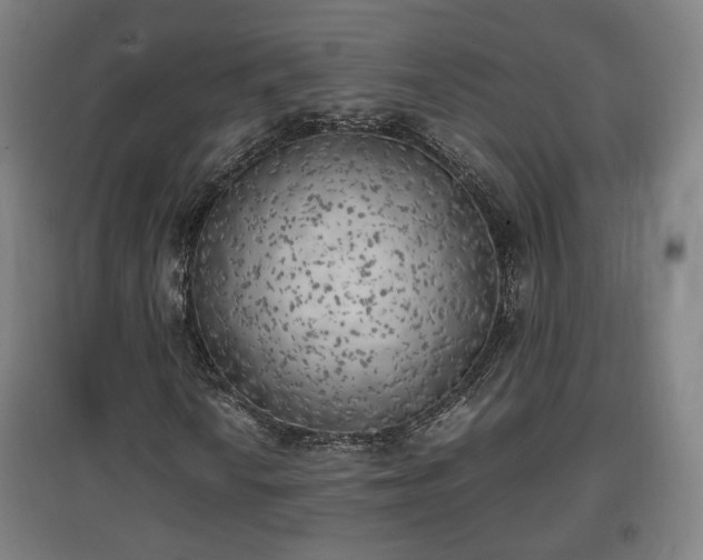 X0000096961010200802151230