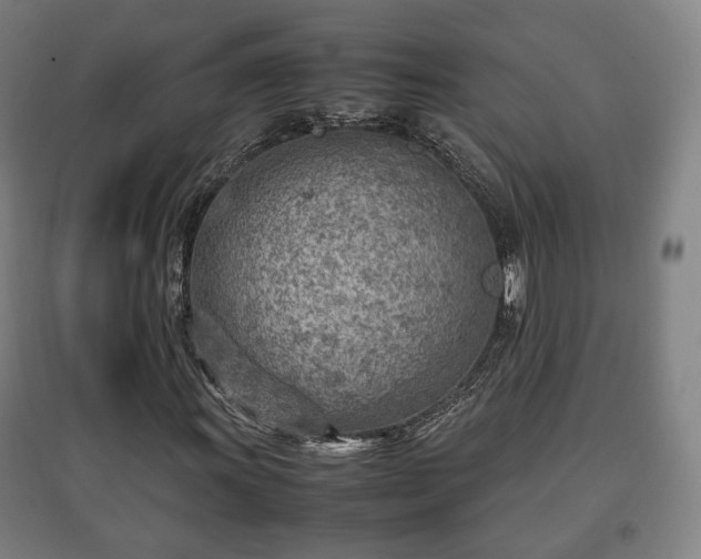 X0000096961011200802151230