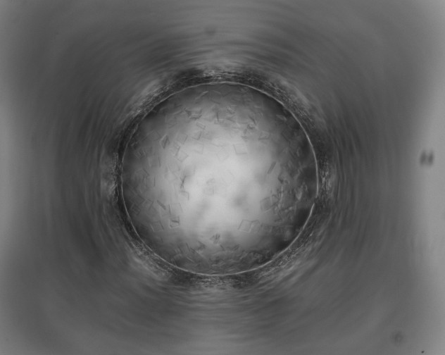 X0000096961012200802151230